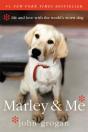 Marley & Me - Preview