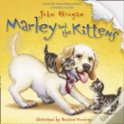 Capa do artigo Marley & The Kittens