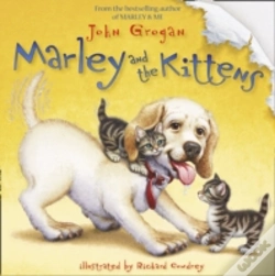 Capa do artigo Marley & The Kittens