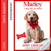 Capa do artigo Marley