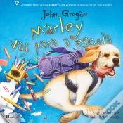 Capa do artigo Marley vai Para a Escola