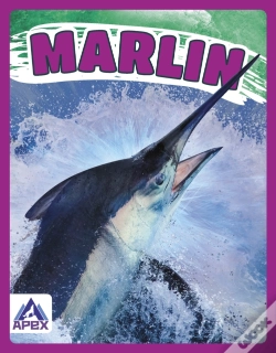 Capa do artigo Marlin