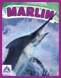 Marlin - Preview