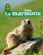 Marmotte (La) - Preview