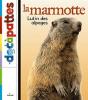 Marmotte - Preview