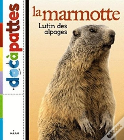 Capa do artigo Marmotte