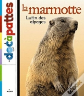 Capa do artigo Marmotte