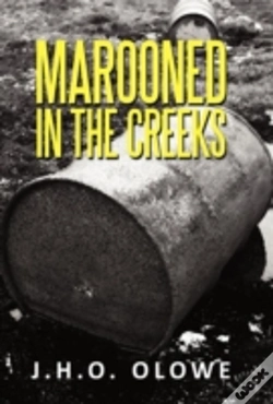 Capa do artigo Marooned In The Creeks