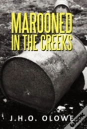 Capa do artigo Marooned In The Creeks