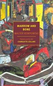Capa do artigo Marrow And Bone