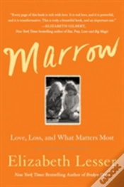 Capa do artigo Marrow