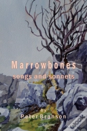 Capa do artigo Marrowbones