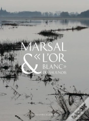 Capa do artigo Marsal & L