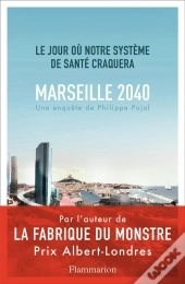 Marseille, 2040 : Le Jour Où Notre Système De Santé Craquera