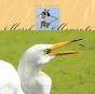 Marsh Moments - Preview