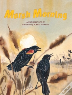 Capa do artigo Marsh Morning