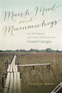 Capa do artigo Marsh Mud And Mummichogs