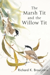 Marsh Tit And The Willow Tit