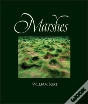 Capa do artigo Marshes