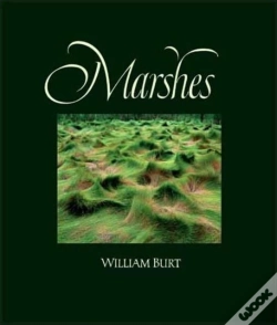 Capa do artigo Marshes