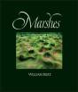 Marshes - Preview