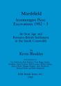 Marshfield: Ironmongers Piece Excavations 1982-3 - Preview