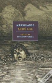Capa do artigo Marshlands
