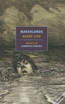 Capa do artigo Marshlands