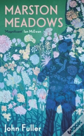 Capa do artigo Marston Meadows