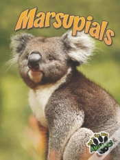 Capa do artigo Marsupials