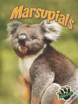 Capa do artigo Marsupials