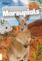 Marsupials - Preview