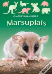 Capa do artigo Marsupials