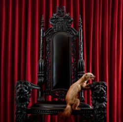 Capa do artigo Marten - Vinil