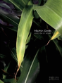 Martin Roth - Preview