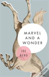 Marvel And A Wonder