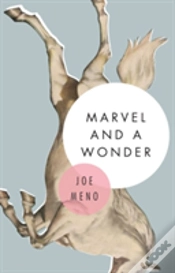 Capa do artigo Marvel And A Wonder