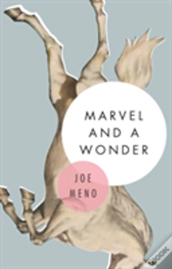 Capa do artigo Marvel And A Wonder