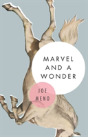 Marvel And A Wonder - Preview