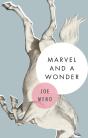 Marvel And A Wonder - Preview