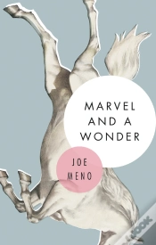 Capa do artigo Marvel And A Wonder
