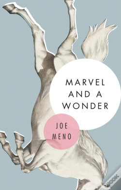 Capa do artigo Marvel And A Wonder
