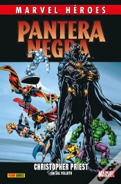 Capa do artigo Marvel Heroes 110 Pantera Negra 2