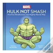Capa do artigo Marvel Hulk Not Smash
