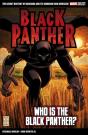 Marvel Select Black Panther: Who Is The Black Panther? - Preview
