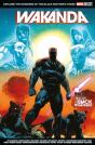 Marvel Select - Wakanda - Preview