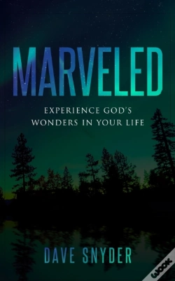 Capa do artigo Marveled