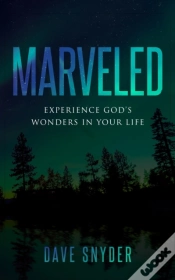 Capa do artigo Marveled