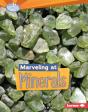 Marveling At Minerals - Preview