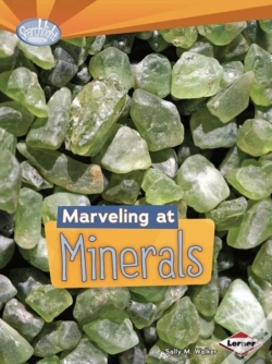 Capa do artigo Marveling At Minerals